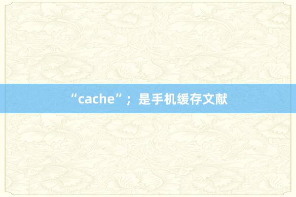 “cache”；是手机缓存文献